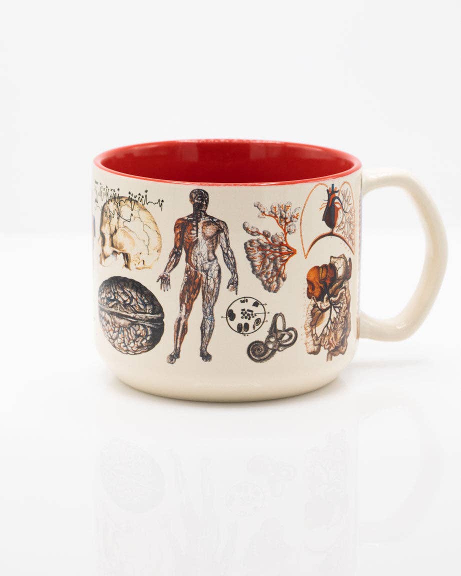 Anatomy: Vascular Ceramic Mug