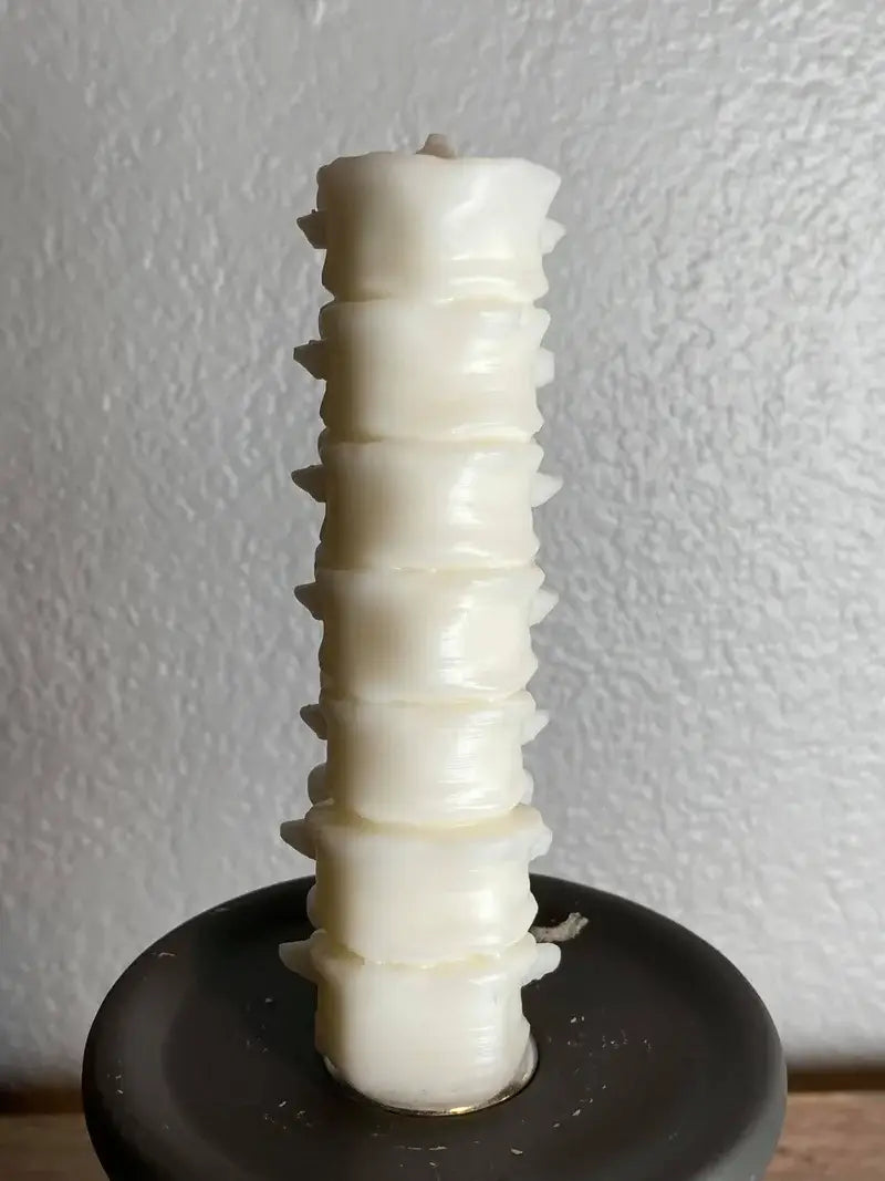 Small Spine Candle: White / Sugar Cookie